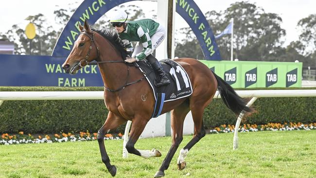 The Annabel Neasham and Rob Archibald-trained Sunshine Law is Ray Thomas's best bet of the day at Scone on Thursday. Picture: Bradley Photos