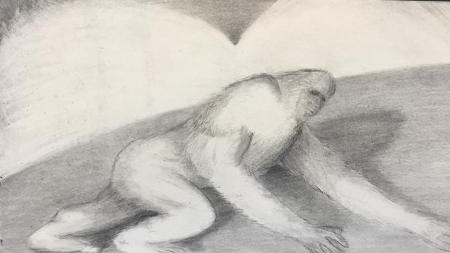 "Draw me like one of your French girls." New artist impressions of a previous Yowie sighting in Numinbah.