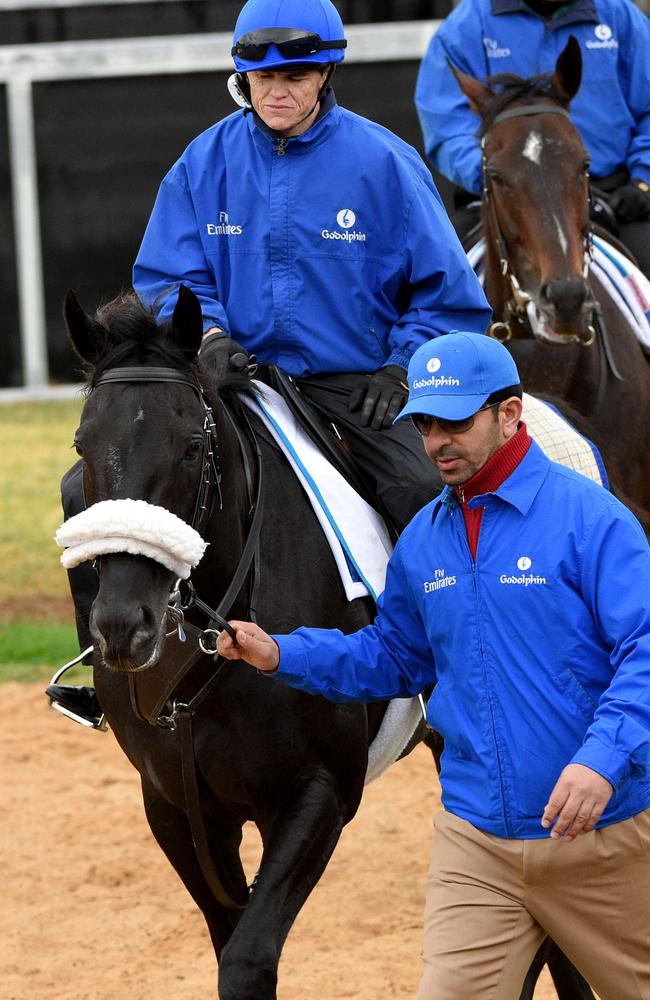 Craig Williams sits aboard Cavalryman. Picture: Getty Images