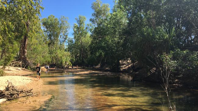 Tjuwaliyn (Douglas) Hot Springs Park. Picture: Isabella Hood