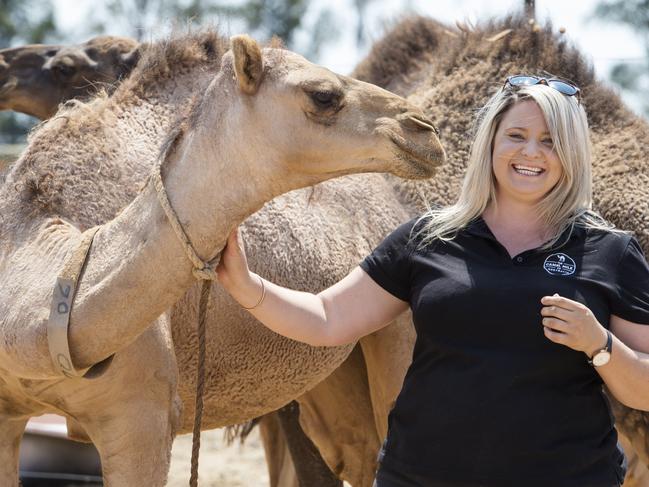 NEWS: CAMEL MILKThe camel milk/dairy industry is in a good position at the moment, expecting a big year of growth. Megan Williams runs Camel Milk Co Australia at Kyabram. Pictured: Megan Williams with her Camels PICTURE: ZOE PHILLIPS