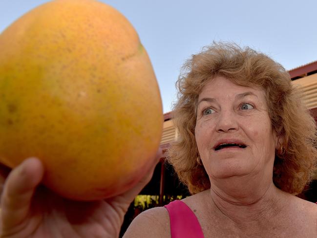 The mango festival is about to be a mango delight as visitors to Berry Springs market shower themselves in mango celebration. Colleen Chalmers, of Humpty Doo, wins the biggest mango competition at the Berry Springs markets.