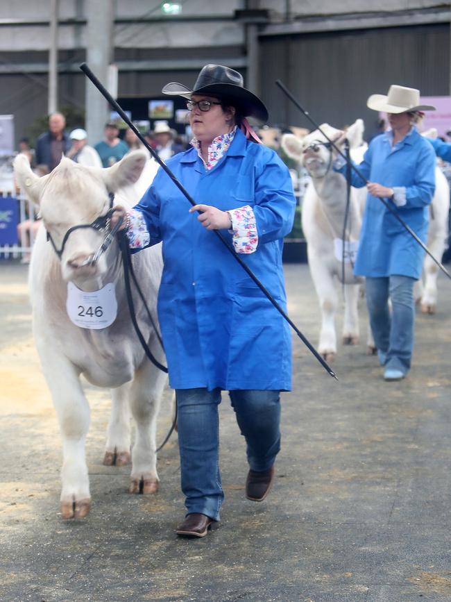 Melbourne Royal Show, Flemington.