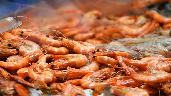 People aren’t happy at prawns being compared to ‘cat vomit’. Picture: James Ross/AAP