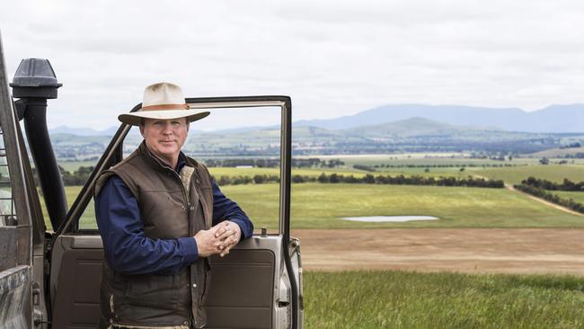 Paying attention: Former army lieutenant colonel Craig Hinchliffe on his farm near Ararat.