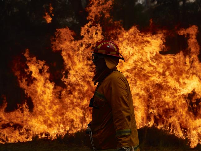 HOT SPOT: Fire crew members at work on a back burn in Sydney, November 14. Picture: Brett Hemmings/Getty Images