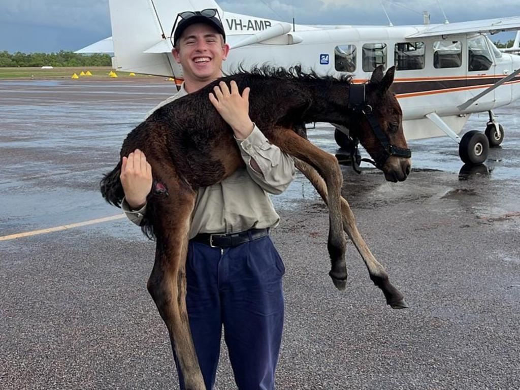 Kakadu Air’s Owen Agius-Mikin with Imijimi on her journey to her new home. Picture: Kakadu Air