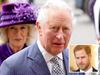 ‘Knew what he was doing’: Harry’s low blow
