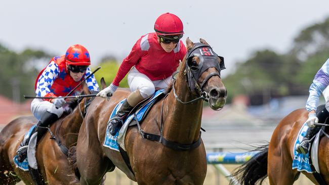 Wiggum wins at Gawler in December. Picture: Makoto Kaneko