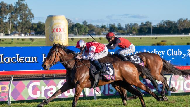 Southern Lad wins the 2021 Ramornie Handicap for Randwick trainer John O'Shea. Photo: Adam Hourigan