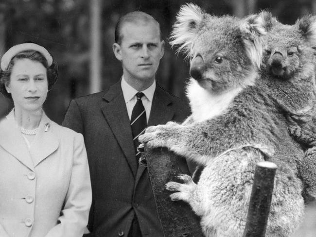 Queen Elizabeth and the Duke of Edinburgh seemed unimpressed by a koala during their visit to Melbourne in 1954.