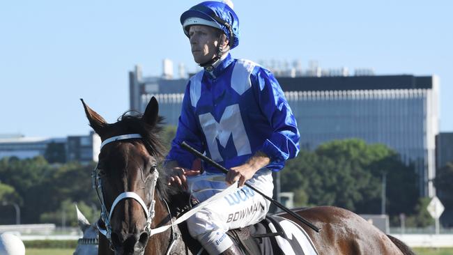 Winx with jockey Hugh Bowman after its 14th win.