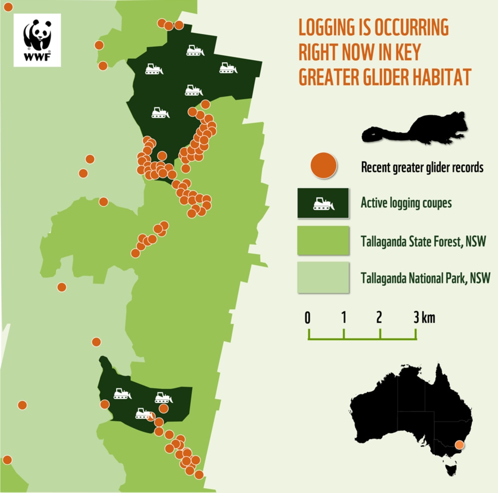 A map shows where logging is occurring in greater glider habitat. Picture: WWF-Australia