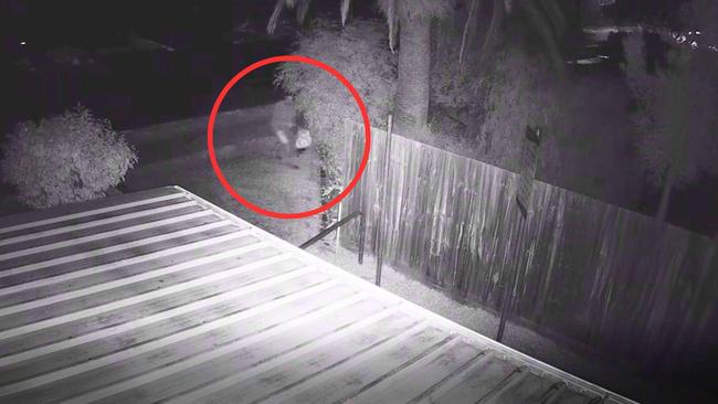 A man hides in bushes at night in Teak Lane at Victoria Point in May before police come searching for him. Picture: Contributed