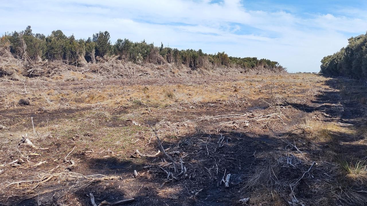 Man ignored warning when he cleared native vegetation