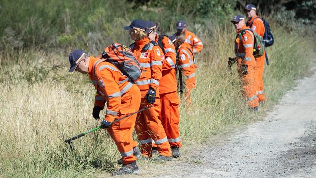 An extensive search of the Canadian Forest area has not yet uncovered any trace of Ms Murphy. Picture: Nicki Connolly