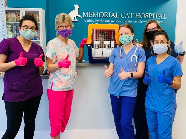 Indigo and the team at her vet surgery in Houston that cared for her after her owners rushed back to Australia. Picture: Supplied