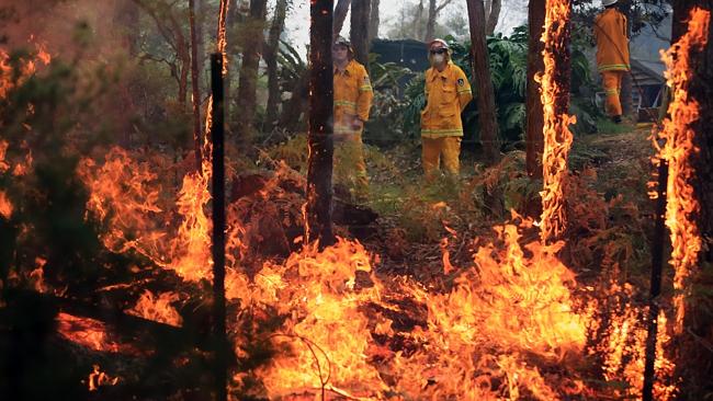 "We are increasingly putting ourselves in harm's way" ... Bushfires raged in the Blue Mountains, west of Sydney, last October. Picture: Alex Coppel.