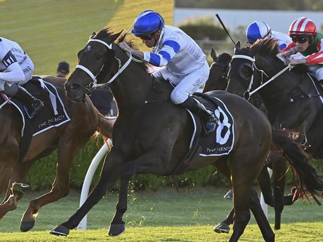 Kirikan (outside) can break through at Canterbury. Picture: Bradley Photos