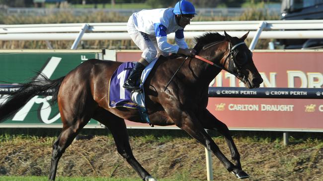 28.3.2015 Ascot Races. race 7 Lucky Street ridden by Paul Harvey wins the Karrakatta Plate.