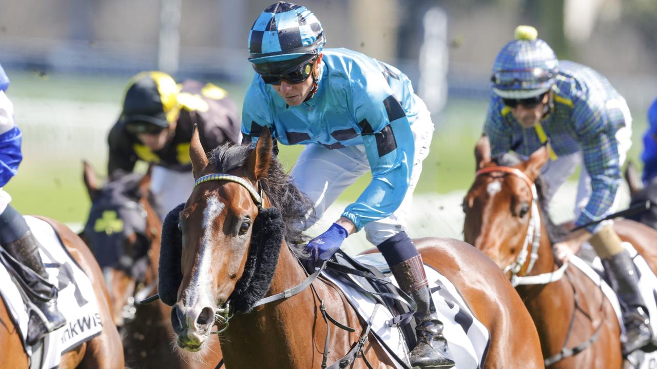 Noted wet tracker Williamsburg is backing up from his win here last Saturday. Picture: Getty Images