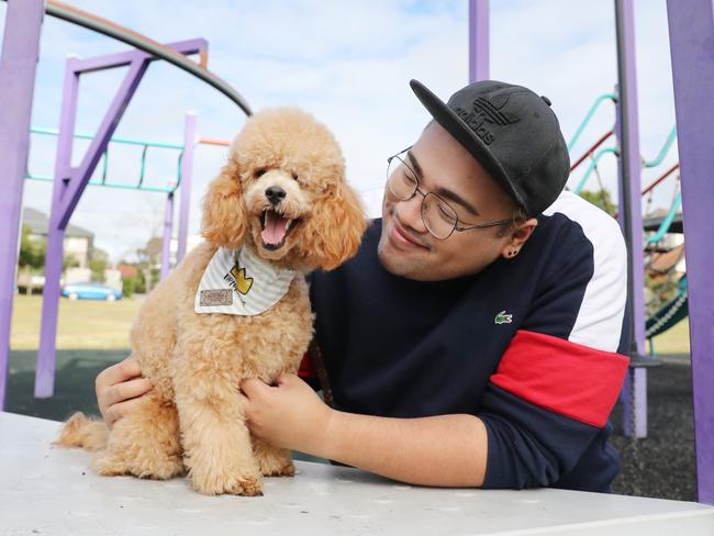 Pictured at their home in St.Mary's in Sydney is Patrick Gaerlan with his dog Theo.Petbarn is providing free deliveries to healthcare workers, the elderly and those who are isolating due to COVID-19. Picture: Richard Dobson