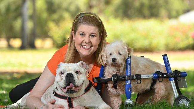 Debbie Mundy is the Founder of "Moving Paws Inc", which is an Always and Forever Haven for Senior and Special Needs dogs. Picture: Keryn Stevens