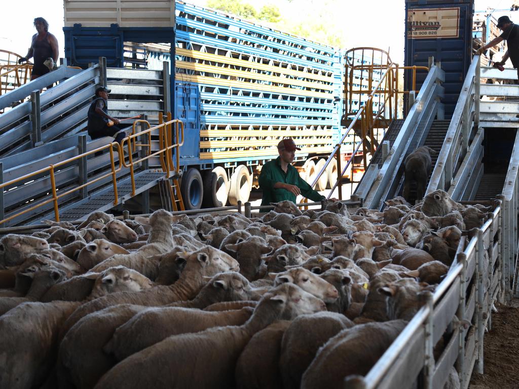 Live export ban a red line: farmers