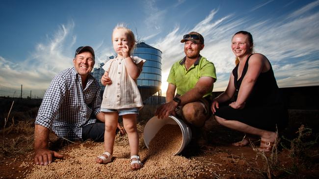 Gavin, Ava, Leighton and Kahlia Schuster with some of their chick peas at their Freeling farm 2022. Picture: Matt Turner