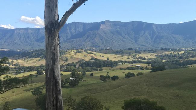 View from a lookout near Tyalgum. Picture: Fran Silk