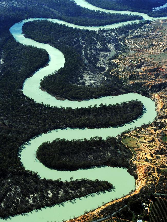 The winding Murray River, between Renmark and the Victorian border. Picture: Brenton Edwards