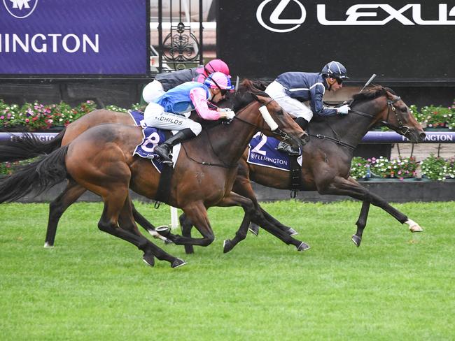 Bold Soul (NZ) ridden by Daniel Stackhouse wins the The Stud and Stable Staff Awards at Flemington Racecourse on January 13, 2024 in Flemington, Australia. (Photo by Pat Scala/Racing Photos via Getty Images)