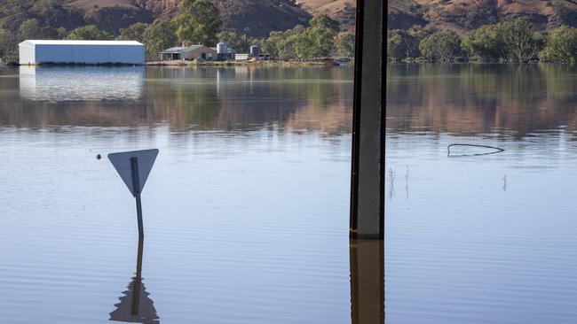 Scenes looking across paddocks, roads and picnic spots which are now underwater from the Murray River flood waters at the levy on Green street, Mypolonga. Picture Emma Brasier.