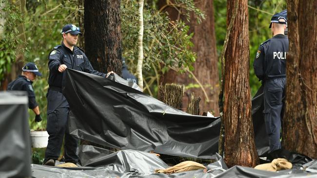 The search for evidence relating to the disappearance William Tyrrell, continues near Batar Creek Road in Kendall. Picture: Trevor Veale