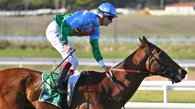 Wangoom Handicap winner Tuvalu can cause an upset in the Sir Rupert Clarke Stakes. Picture Vince Caligiuri/Getty Images