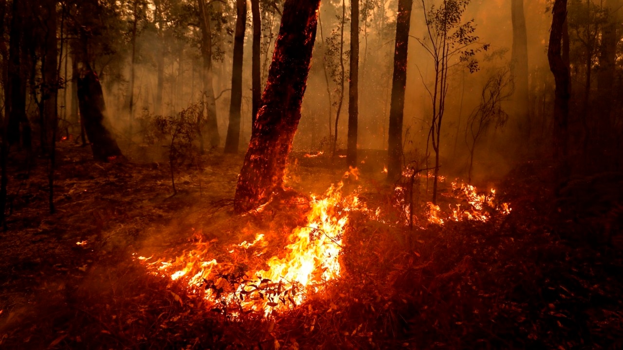 The Andrews government is levelling a 'sustained attack' on Victoria's CFA