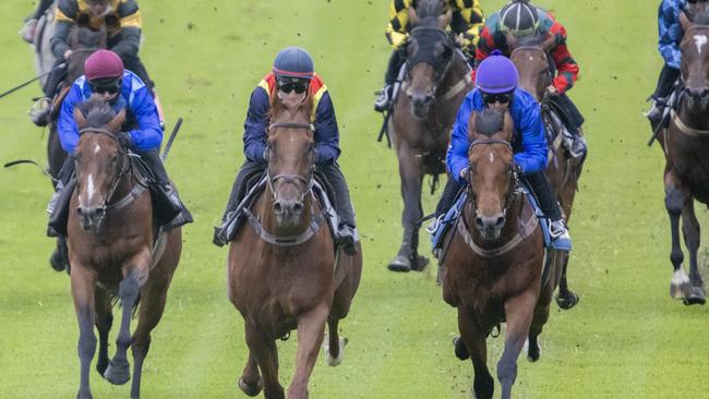 Nature Strip (navy sleeves, red) holds off Bivouac (blue) at the Rosehill trials. Picture: Mark Evans/Getty Images