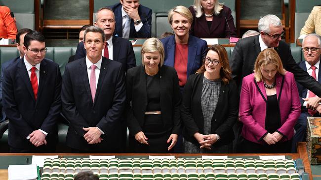 Labor Members Patrick Gorman, Josh Wilson, Susan Lamb, Justine Keay and Centre Alliance Member Rebekha Sharkie at a swearing in ceremony in the House of Representatives. Picture: AAP