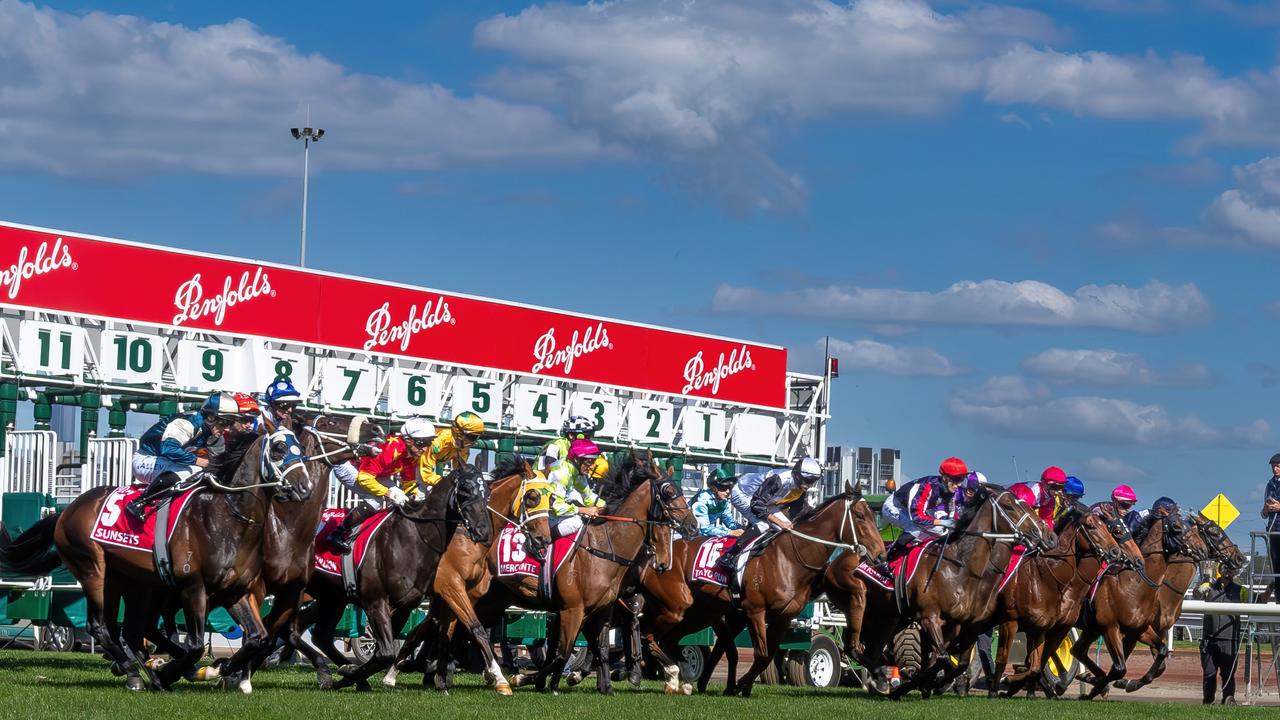 Flemington will play host to the Melbourne Cup following a succcesful Derby Day on Saturday. Photo by Jay Town/Racing Photos via Getty Images