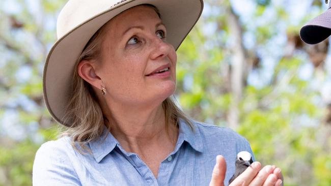 Federal Environment Minister Sussan Ley. Picture by Luke Marsden.