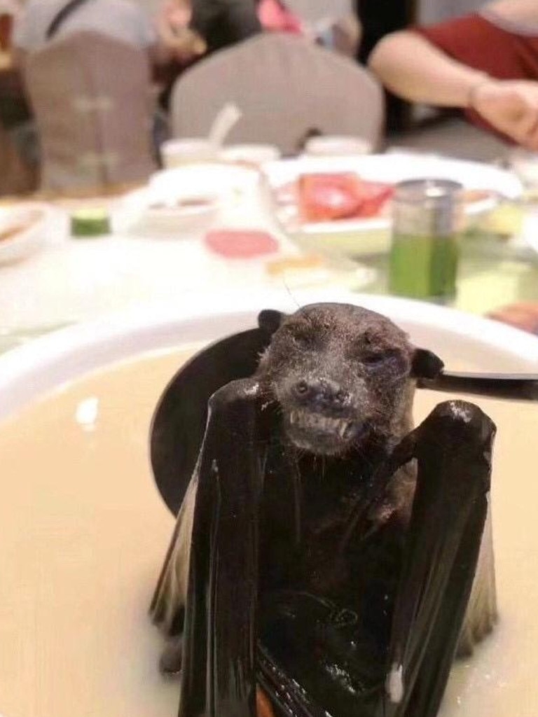 The bat soup looks really … appetising.