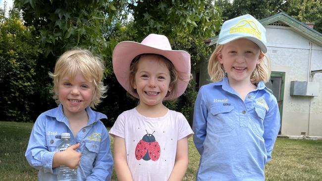 Fred Hicks, 3, Anna Middleton, 3, and Henrietta Hicks, 5, pictured at the Hicks Beef bull sale at Holbrook. Picture: Nikki Reynolds