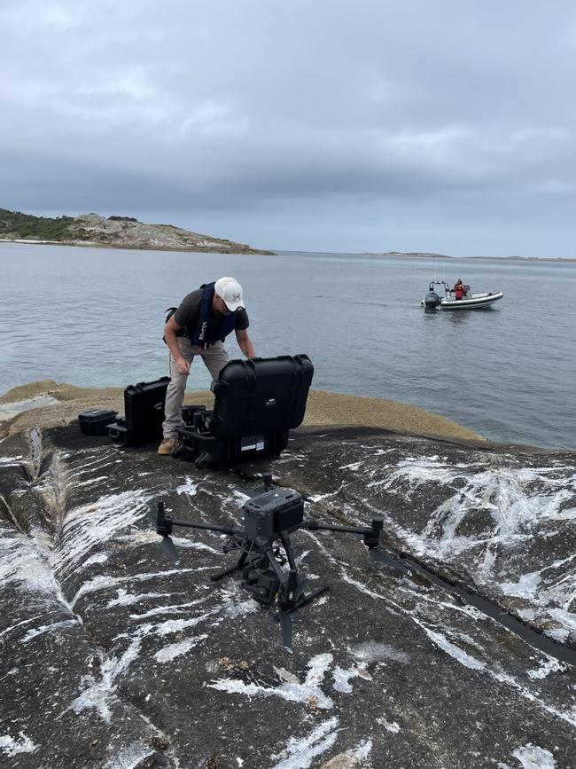 Police seized cannabis and ammunition as part of an operation on the Furneaux Islands. Pic: Tasmania Police