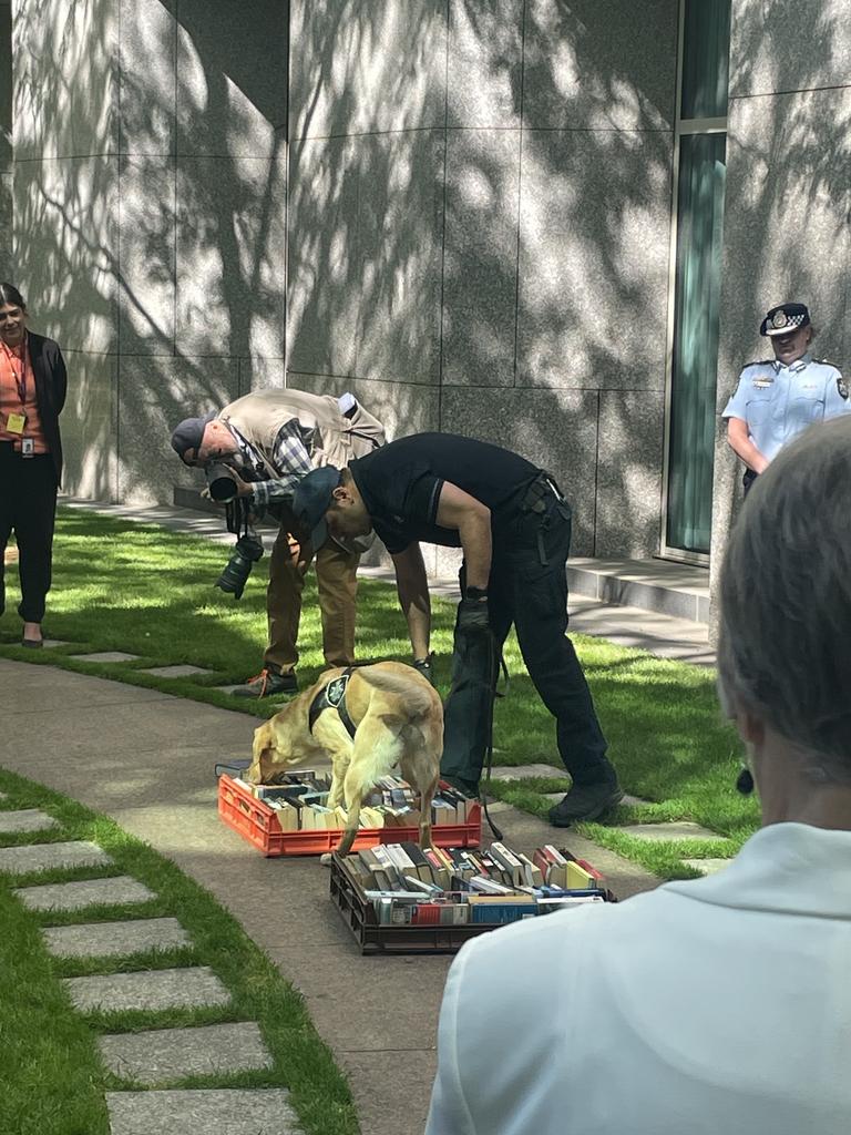 At least one tech sniffer dog has been deployed in every major capital city in Australia.Picture: Supplied