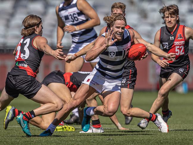 Cooper Stephens in action for Geelong VFL. Picture: Arj Giese.