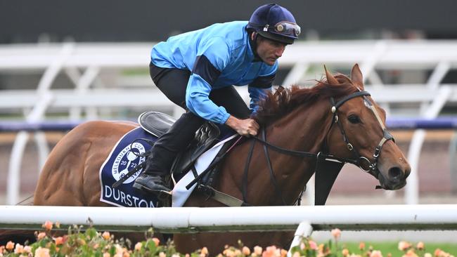 Damien Oliver riding Durston during the Breakfast With The Stars Trackwork Session at Flemington Racecourse on October 25, 2022 in Melbourne, Australia. (Photo by Vince Caligiuri/Getty Images)