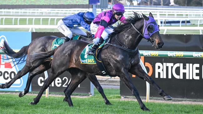 Rolling Moss ridden by Logan Bates wins the Prestige Jayco BM58 Handicap at Geelong Racecourse on June 06, 2024 in Geelong, Australia. (Reg Ryan/Racing Photos via Getty Images)