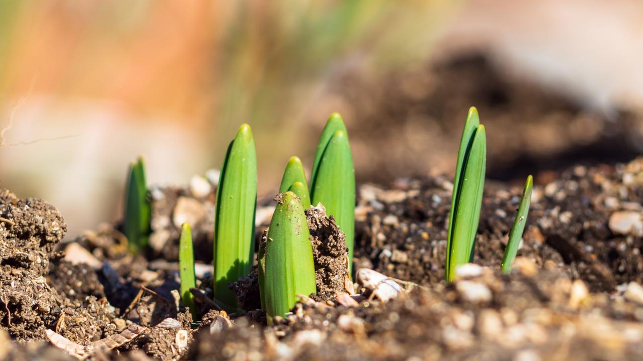 Start-ups rising to the green challenge, says KPMG