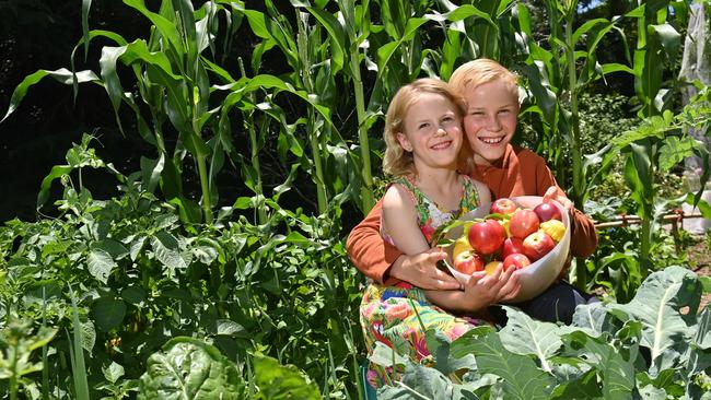 The Fruit fly restrictions are officially over in Adelaide - Ellie Jung, 6, and Drew, 9, in their backyard with fruit from their trees. Picture: Keryn Stevens