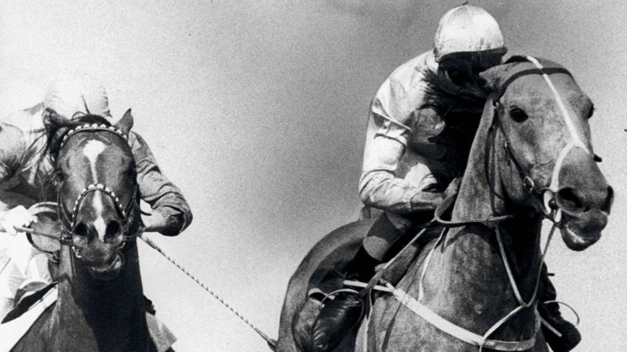 Racehorse Emancipation (R) winning Race 5 at Warwick Farm, 17/03/84 (1984).  Pic Gary Graham.